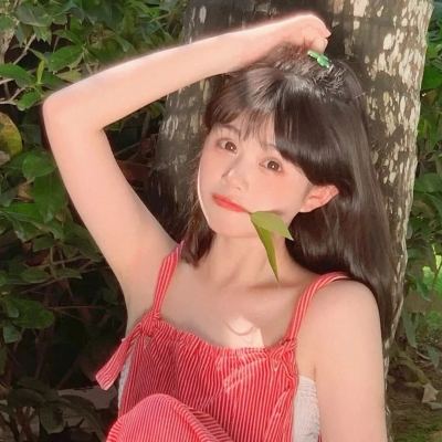 机动战队百度版下载